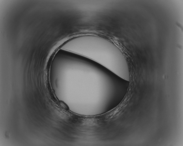 X0000091910342200709051216
