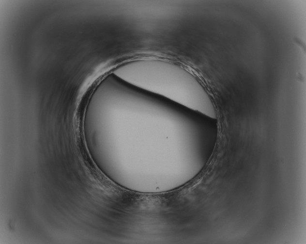 X0000091910343200709051216