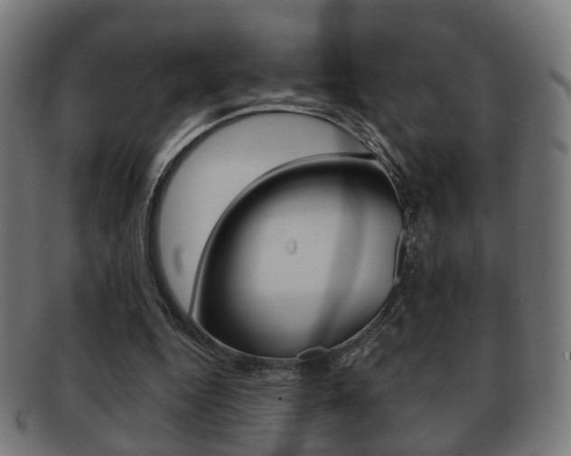 X0000091910344200709051216