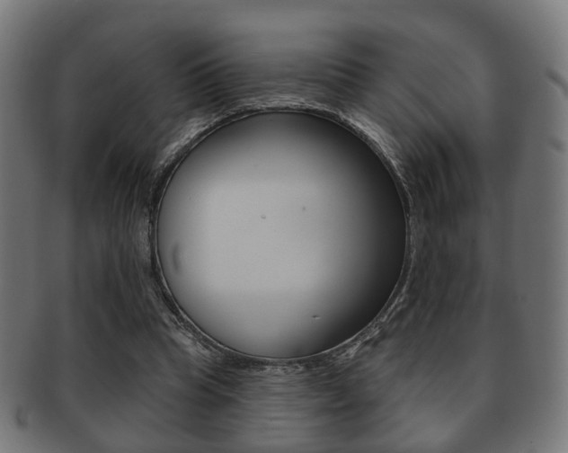 X0000091910345200709051216