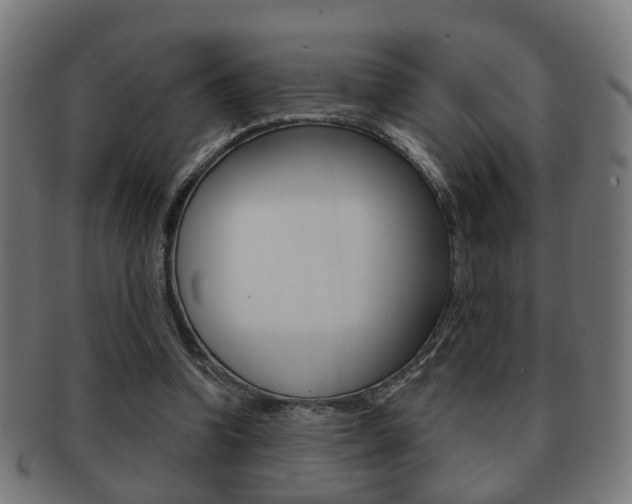 X0000091910346200709051216