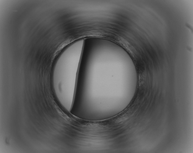 X0000091910349200709051216
