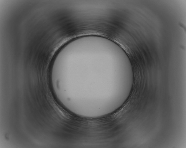 X0000091910350200709051216