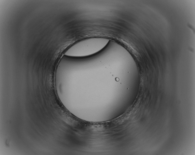 X0000091910353200709051216