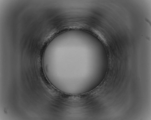 X0000091910354200709051216