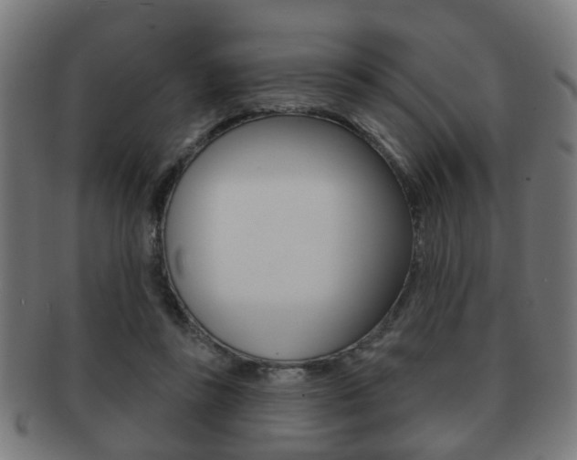 X0000091910355200709051216