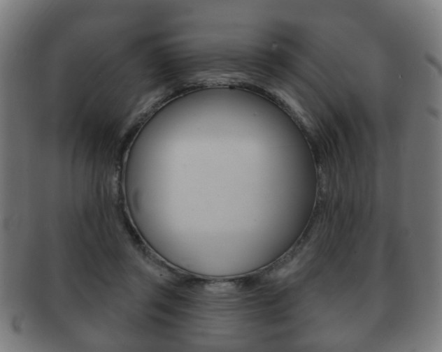 X0000091910357200709051216