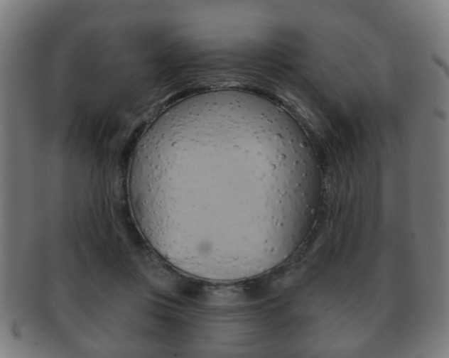 X0000091910359200709051216