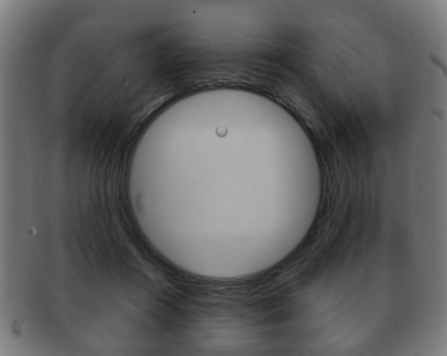 X0000091910360200709051216