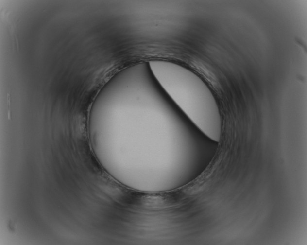 X0000091910361200709051216