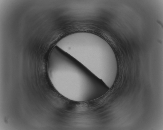 X0000091910362200709051216