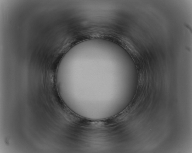X0000091910363200709051216