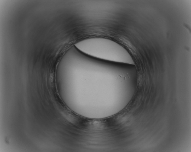 X0000091910365200709051216