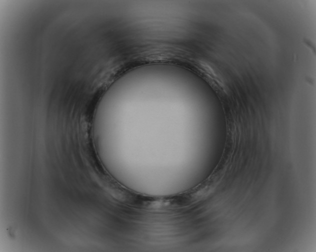 X0000091910366200709051216