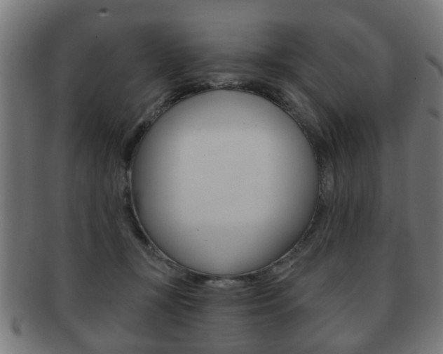 X0000091910367200709051216