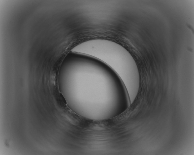X0000091910368200709051216