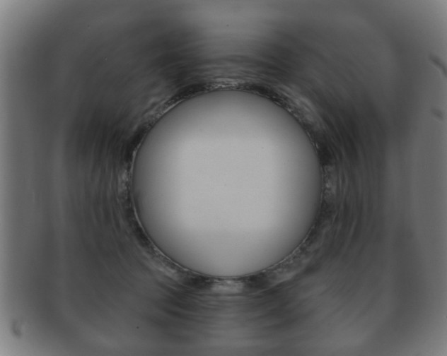 X0000091910369200709051216