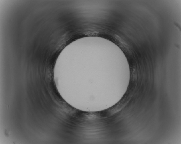 X0000091910370200709051216
