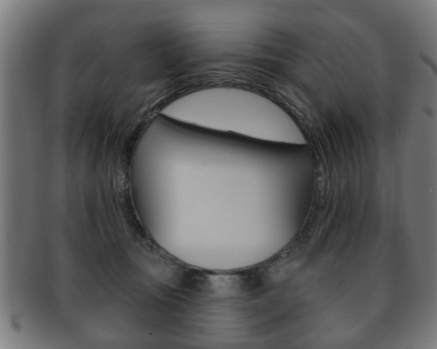 X0000091910371200709051216