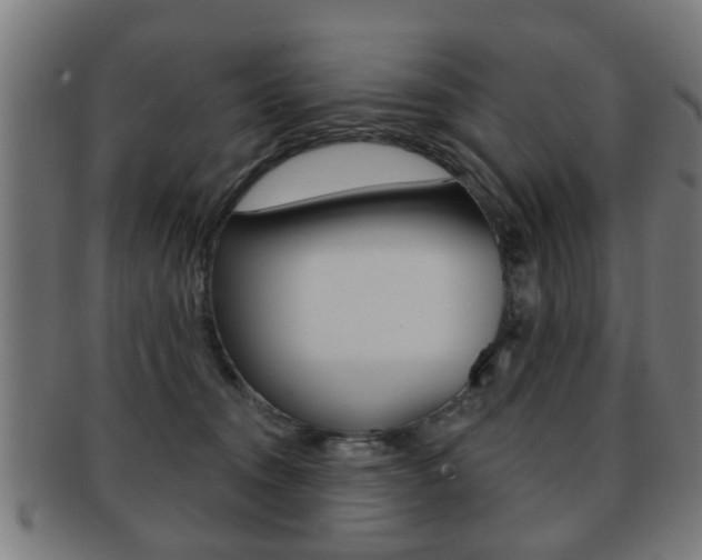 X0000091910372200709051216