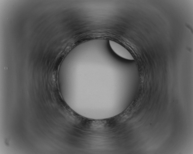 X0000091910373200709051216