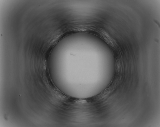 X0000091910374200709051216
