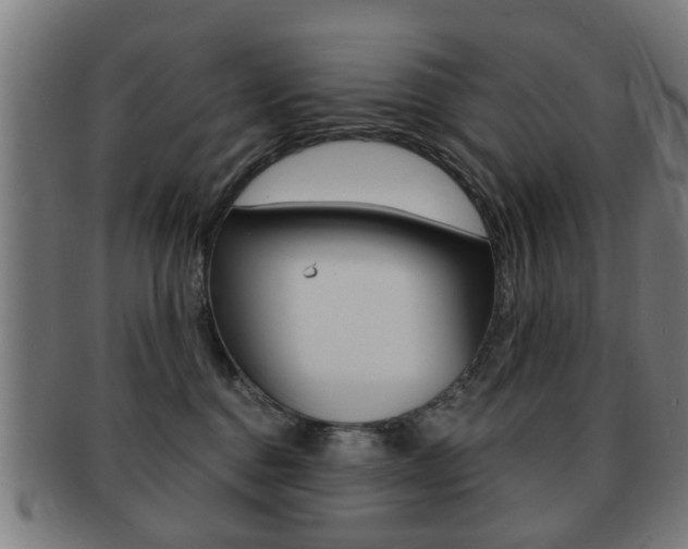 X0000091910376200709051216