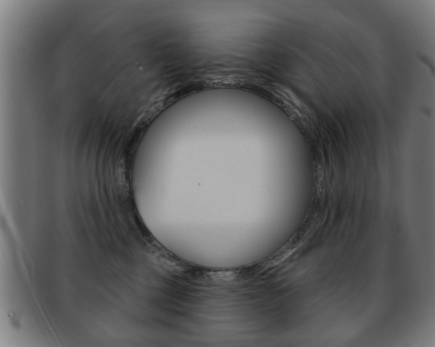 X0000091910377200709051216