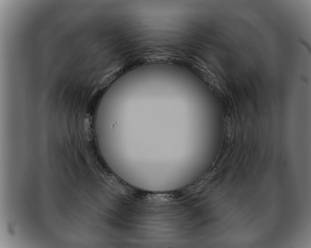 X0000091910378200709051216