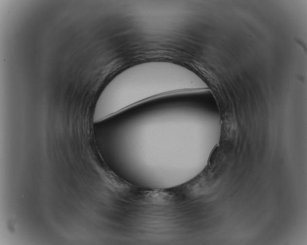 X0000091910379200709051216