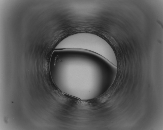 X0000091910380200709051216