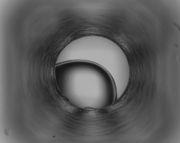 X0000091910382200709051216