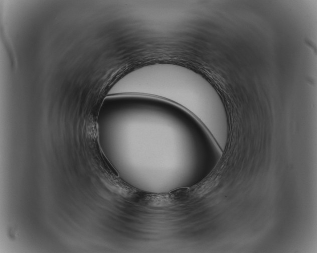 X0000091910384200709051216