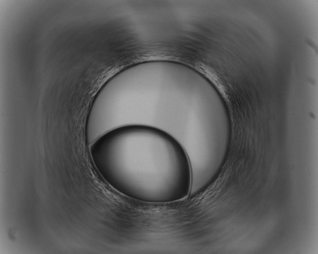X0000091910385200709051216