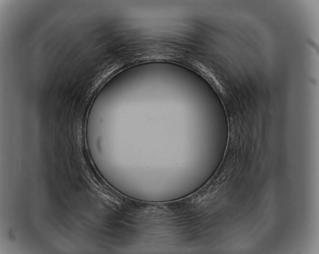 X0000091910386200709051216
