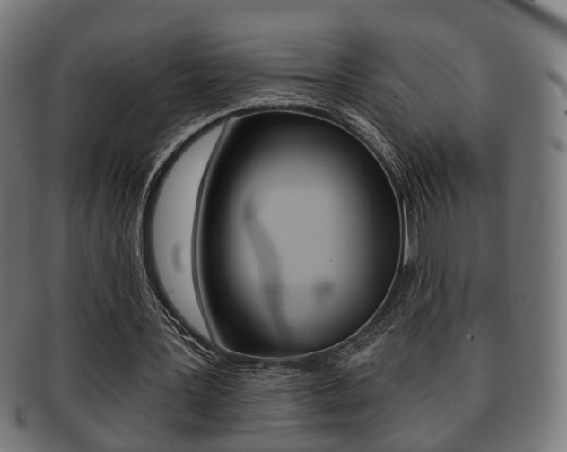 X0000091910387200709051216