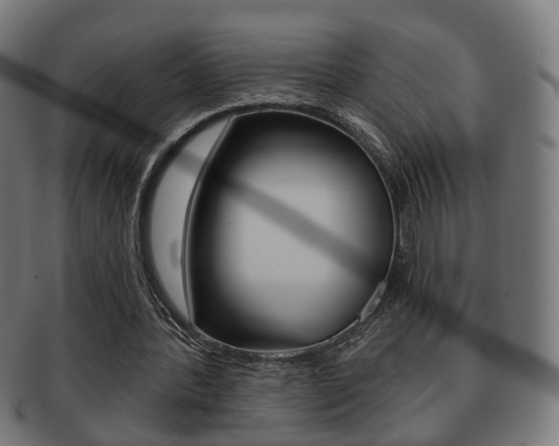 X0000091910388200709051216
