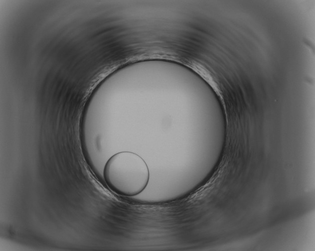 X0000091910389200709051216