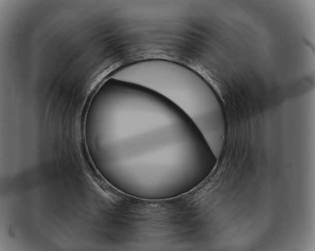 X0000091910390200709051216