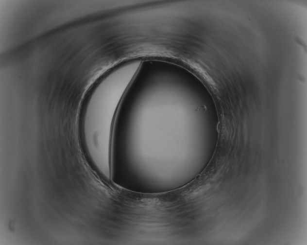 X0000091910391200709051216