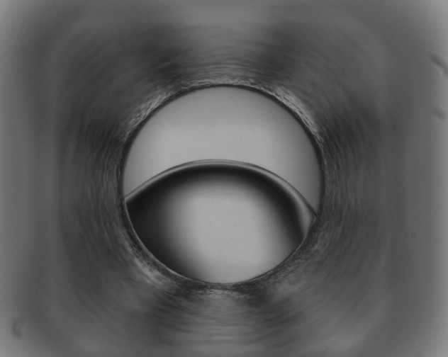 X0000091910393200709051216