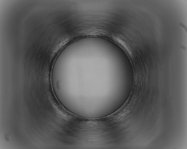 X0000091910394200709051215