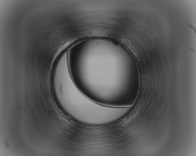 X0000091910395200709051215