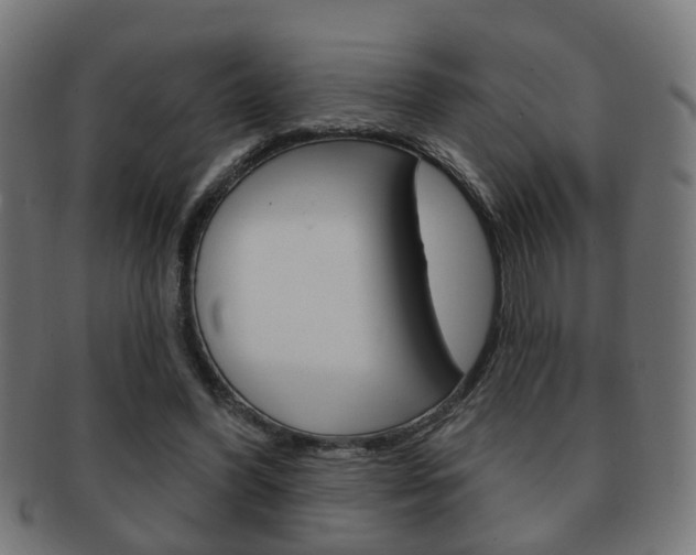 X0000091910396200709051215