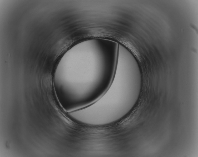 X0000091910397200709051215