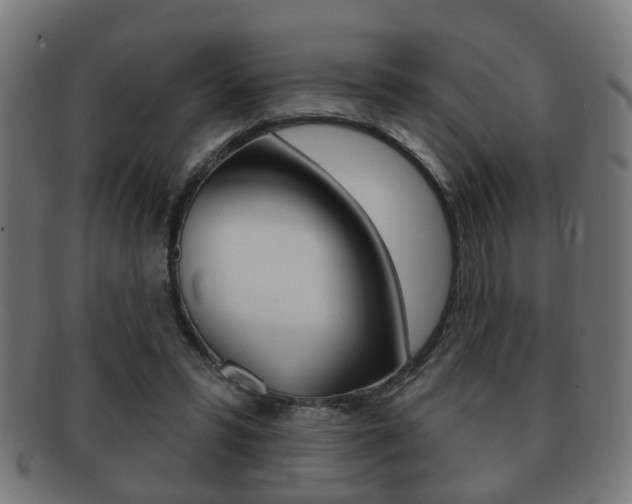 X0000091910399200709051215