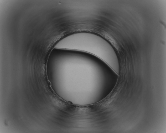 X0000091910401200709051215