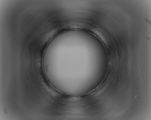 X0000091910402200709051215