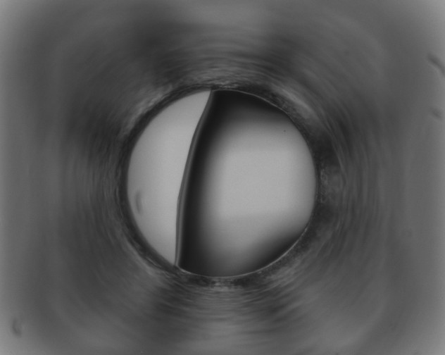 X0000091910404200709051215