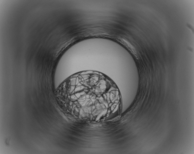 X0000091910405200709051215